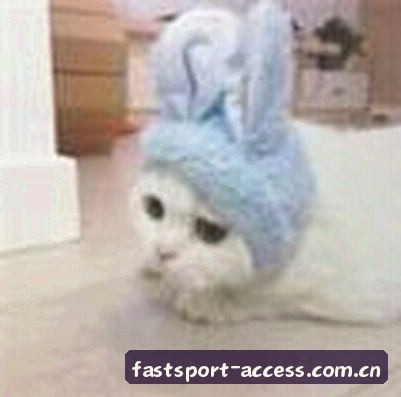 王磊